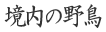 �쒹